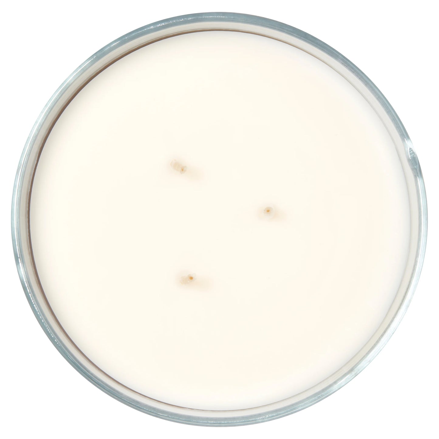 3-Wick Textured Wrapped Candle – Orchid Waters (14 oz)