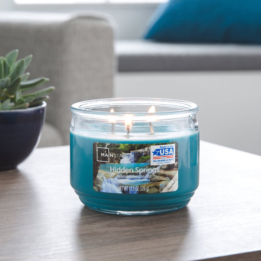 Hidden Springs Scented 3-Wick Glass Jar Candle, 11.5 Oz