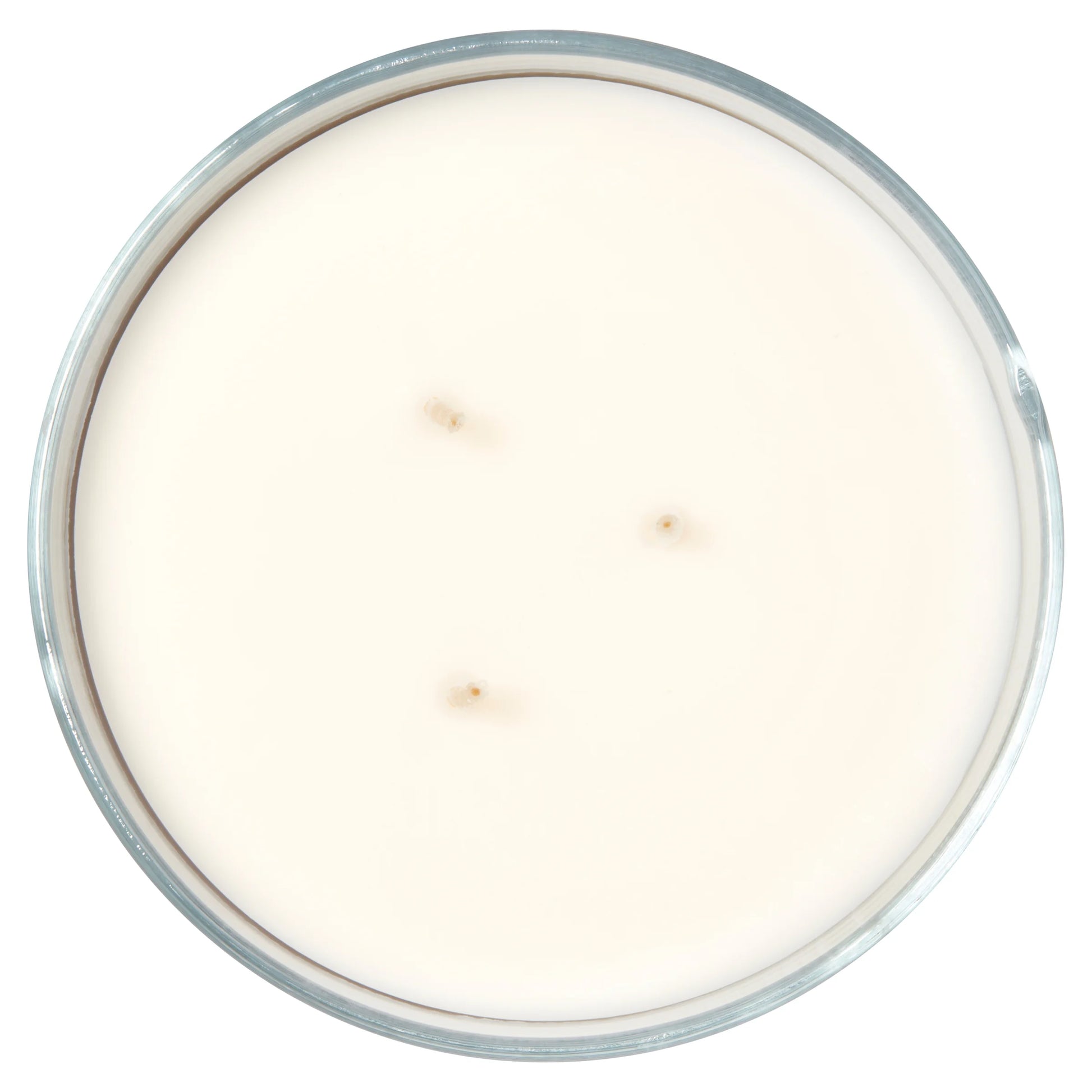 3-Wick Textured Wrapped Candle – Orchid Waters (14 oz)