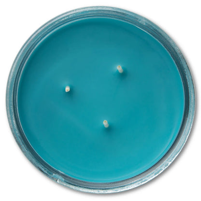 Hidden Springs Scented 3-Wick Glass Jar Candle, 11.5 Oz